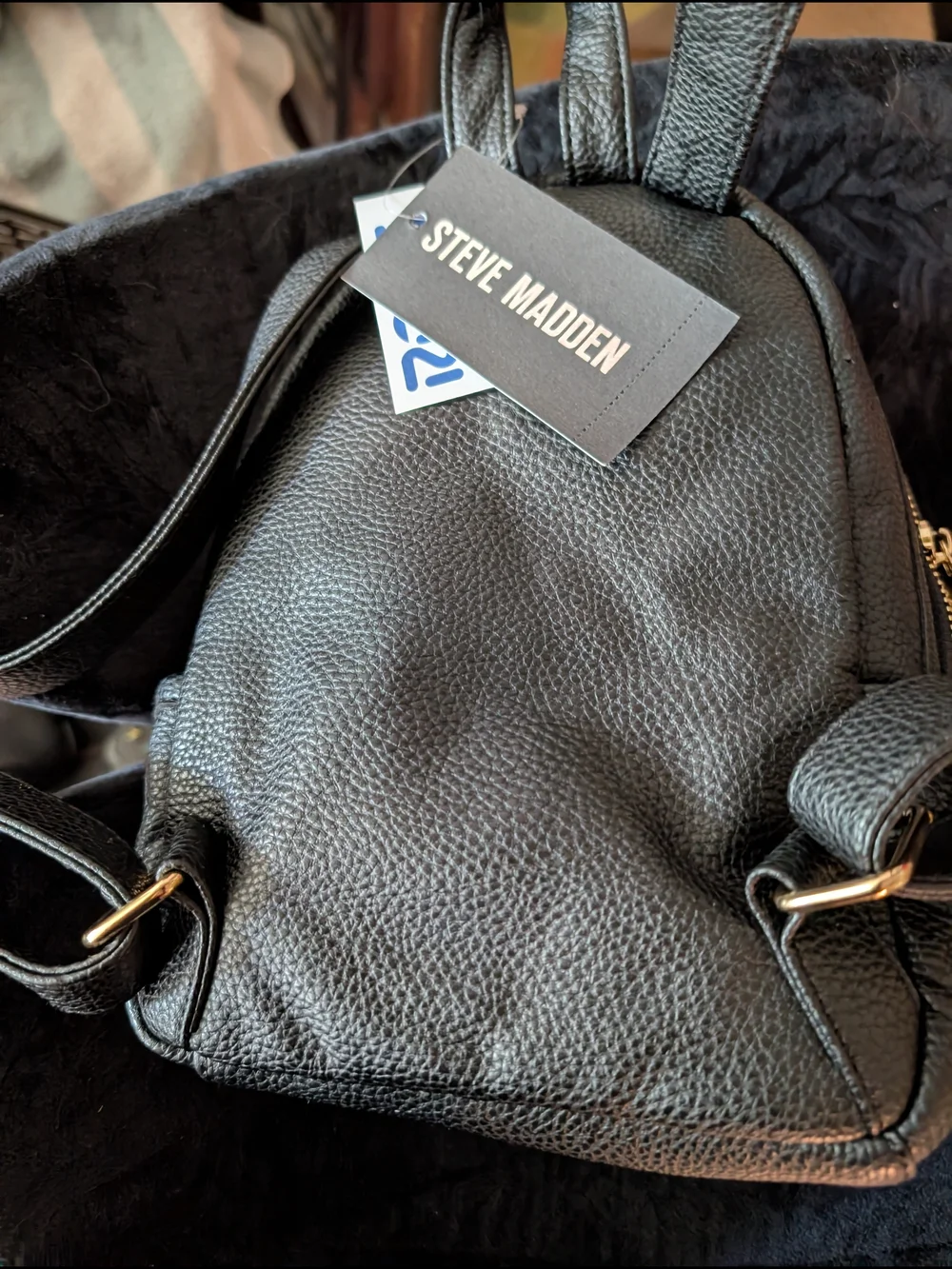 Steve Madden Black Mini Backpack - Pebbled Leather